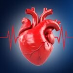 Why does your heart beat faster when you get scared?