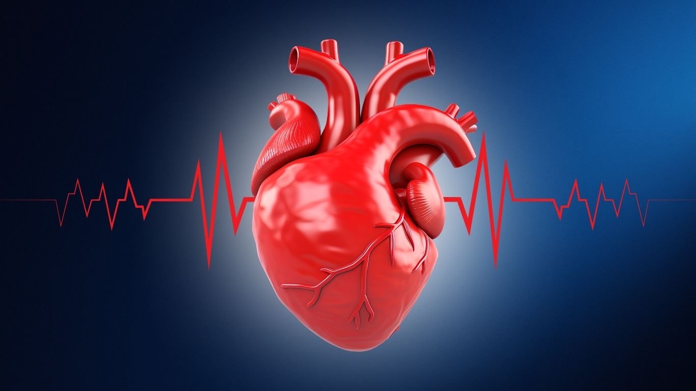 Why does your heart beat faster when you get scared?