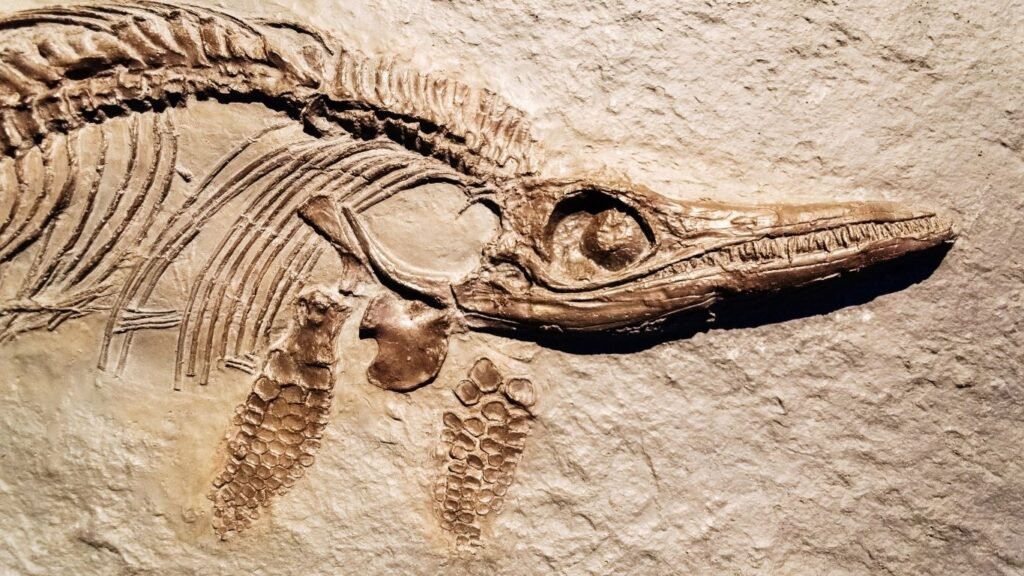 Scientists discovered that life on Earth is billions of years old by combining radiometric dating of ancient rocks