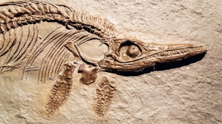 Scientists discovered that life on Earth is billions of years old by combining radiometric dating of ancient rocks